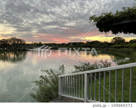 公園の風景 109860372