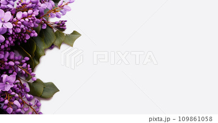 Greeting card with wisteria and empty white space for concept, idea for banner and greetings for International Women's Day and Valentine's Day 109861058