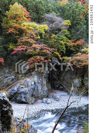 奥多摩の紅葉 奥多摩の紅葉 109861492