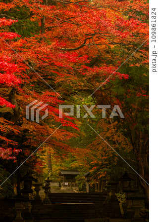 飛騨高山　紅葉に包まれた日枝神社 109861824