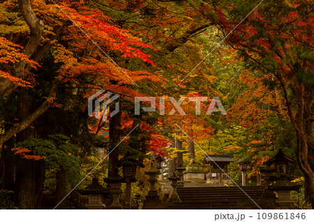 飛騨高山 紅葉に包まれた日枝神社 飛騨高山 紅葉に包まれた日枝神社 109861846