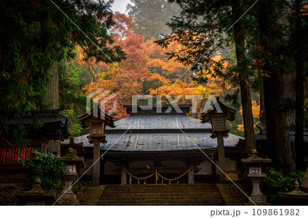 飛騨高山 紅葉に包まれた日枝神社 飛騨高山 紅葉に包まれた日枝神社 109861982