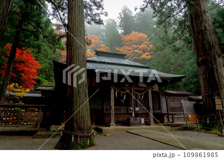 飛騨高山 紅葉に包まれた日枝神社 飛騨高山 紅葉に包まれた日枝神社 109861985