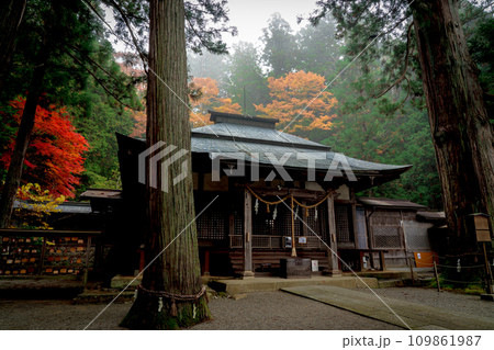 飛騨高山 紅葉に包まれた日枝神社 飛騨高山 紅葉に包まれた日枝神社 109861987