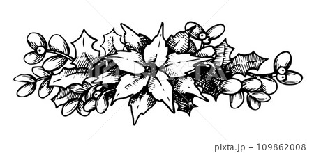 Christmas arrangement of poinsettia, holly and mistletoe. vintage illustration in sketch style Christmas arrangement of poinsettia, holly and mistletoe. vintage illustration in sketch style 109862008