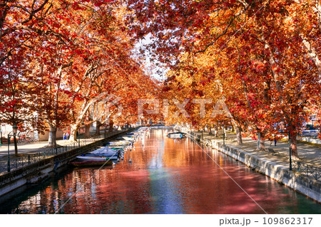 Natural maple tree tunnel with Canal du Vasse on Anncery Lake 109862317