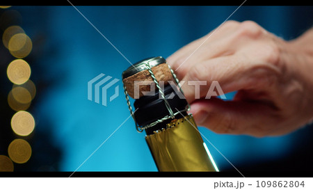 Celebrating new year with sparkling wine bottle Celebrating new year with sparkling wine bottle 109862804