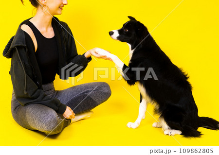Woman with cute dog border collie is in the studio. Sport with pet Woman with cute dog border collie is in the studio. Sport with pet 109862805