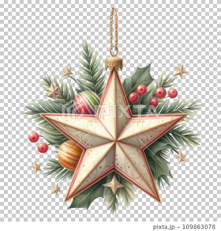 Christmas star  109863078