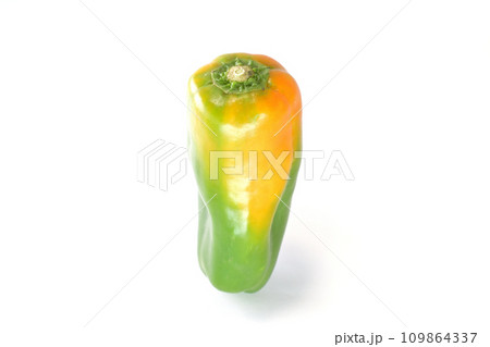 黄色やオレンジ色に変色した規格外のグリーンピーマン1個白バック 黄色やオレンジ色に変色した規格外のグリーンピーマン1個白バック 109864337