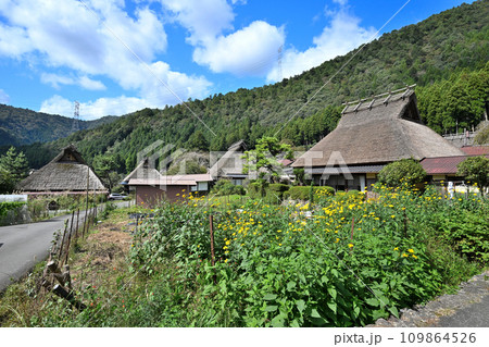 京都　美山町「かやぶきの里」茅葺きの屋根の古民家群　 109864526