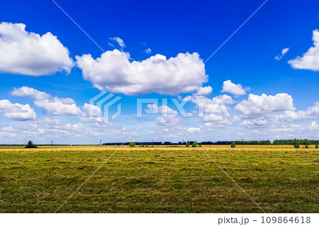 Background shot of a valley with mowed hay against a far-reaching perspective and a bright blue sky with some clouds. The concept of natural views of nature in the summer Background shot of a valley with mowed hay against a far-reaching perspective and a bright blue sky with some clouds. The concept of natural views of nature in the summer 109864618