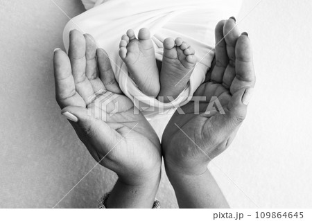 The palms of the parents, father and mother hold the legs, feet of a newborn baby. Feet, heels and toes of a newborn child close -up. Professional macro photo. Black and white. The palms of the parents, father and mother hold the legs, feet of a newborn baby. Feet, heels and toes of a newborn child close -up. Professional macro photo. Black and white. 109864645