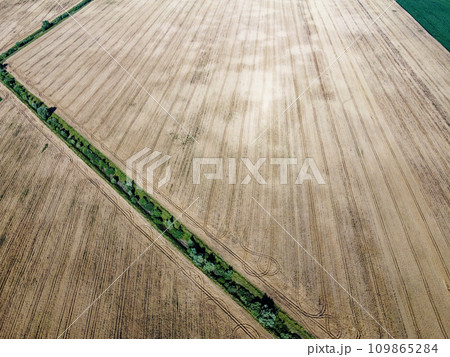 An old irrigation canal overgrown with trees among a wheat field, aerial view. Dry irrigation canal in the field, landscape. An old irrigation canal overgrown with trees among a wheat field, aerial view. Dry irrigation canal in the field, landscape. 109865284