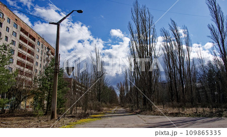 Abandoned industrial area in Chernobyl Exclusion Zone, Ukraine. Tall poplars on the central street of Pripyat. Ghost town in the Chernobyl exclusion zone. Landscape. 109865335