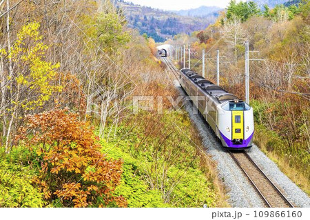 紅葉した中を走る石勝線の列車 北海道占冠村 紅葉した中を走る石勝線の列車 北海道占冠村 109866160
