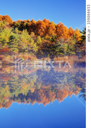 黄葉の中牧湖 109866655