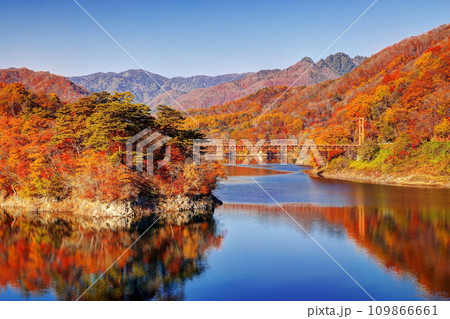 川俣湖の秋 109866661