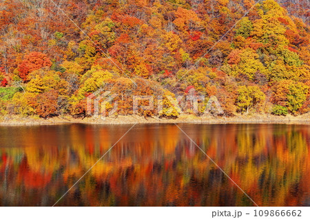 川俣湖の秋 109866662