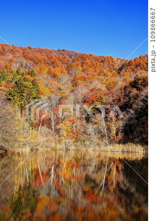 黄葉のすずらん湖 黄葉のすずらん湖 109866667