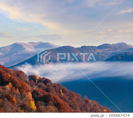 Autumn  mountain slope with colorful forest. 109867474