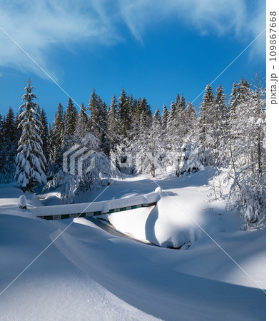Alpine mountain snowy winter fir forest with snowdrifts and frozen small stream Alpine mountain snowy winter fir forest with snowdrifts and frozen small stream 109867668