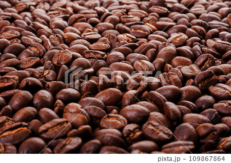 closeup pattern of coffee beans. shallow depth of field. low angle view 109867864