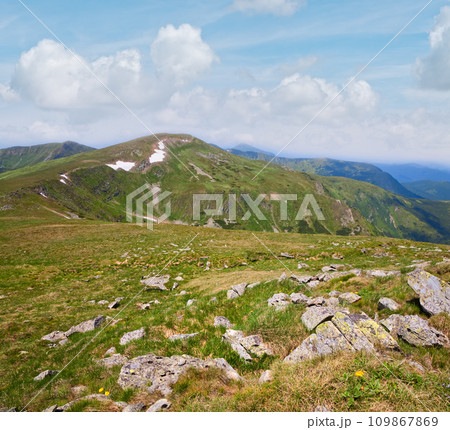 summer mountain pidge (Ukraine, Carpathian Mountains) 109867869