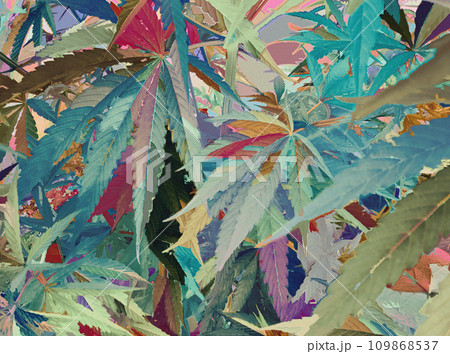 たくさんの大麻草(cannabis)のカラフルでアーティスティックなイラスト。 たくさんの大麻草(cannabis)のカラフルでアーティスティックなイラスト。 109868537