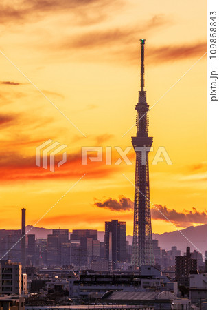 「東京都」美しい都会の夕空と東京スカイツリー 「東京都」美しい都会の夕空と東京スカイツリー 109868843