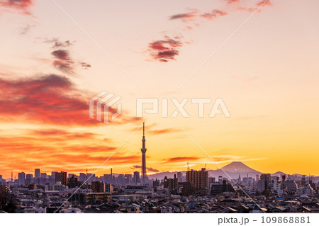 「東京都」美しい都会の夕空と東京スカイツリー 109868881
