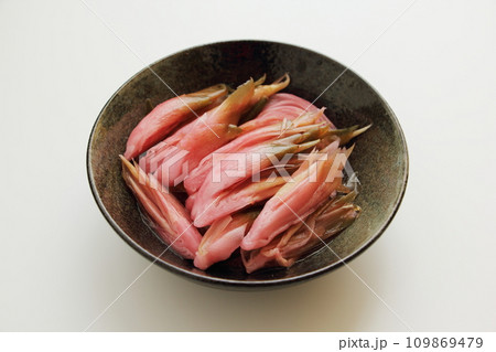 ミョウガの甘酢漬け 109869479