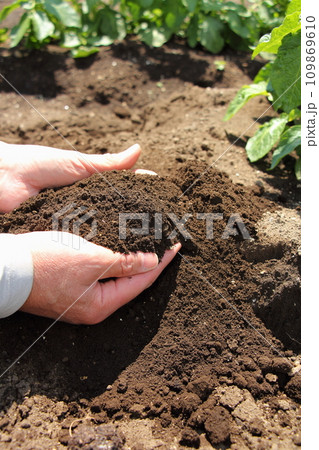 畑の土 109869610