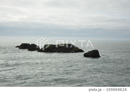 Scenic view of Icelandic peninsula with waves hitting black rocks at overcast Dyrholaey Cape 109869628