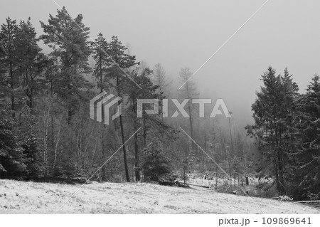 Chilling view of snow-covered coniferous trees at Rammelsberg in Goslar, Germany 109869641