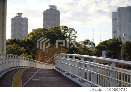 辰巳の森歩道橋(江東区辰巳) 辰巳の森歩道橋(江東区辰巳) 109869733