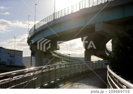 辰巳の森歩道橋(江東区辰巳) 辰巳の森歩道橋(江東区辰巳) 109869758