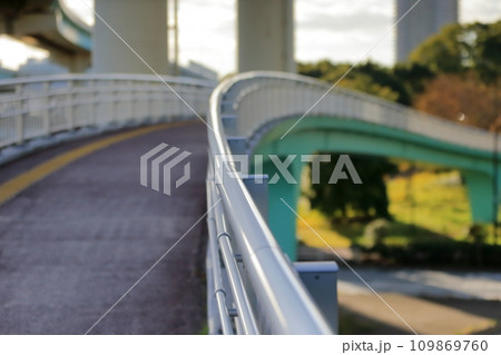 辰巳の森歩道橋(江東区辰巳) 辰巳の森歩道橋(江東区辰巳) 109869760