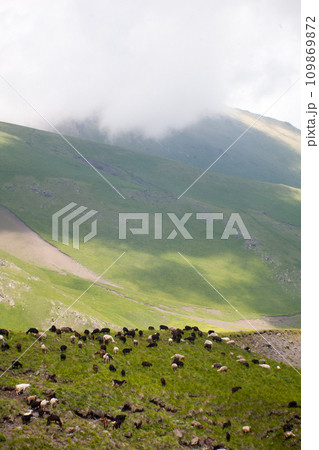 Landscape high mountains in dense fog tops of mountains in clouds North Caucasus Elbrus Landscape high mountains in dense fog tops of mountains in clouds North Caucasus Elbrus 109869872