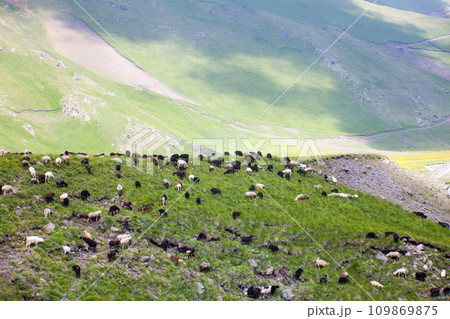 Landscape high mountains in dense fog tops of mountains in clouds North Caucasus Elbrus 109869875