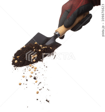 Soil dirt Soy bean mix in garden shovel hand glove, Soybean soil fertilizer abstract cloud fly. Soil mix soy bean planting splash stop in air. white background isolated high speed freeze motion 109870823