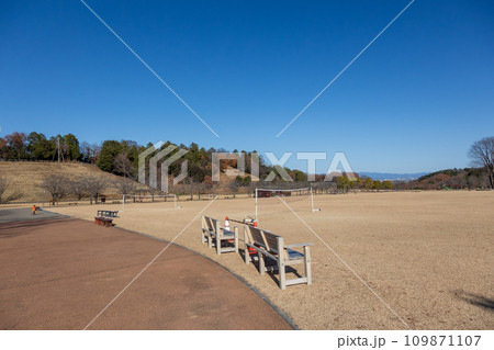 観音山ファミリーパーク　森の芝生広場　群馬県高崎市 109871107