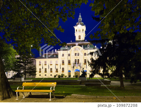 Image of City Hall in light of Szeged Image of City Hall in light of Szeged 109872208