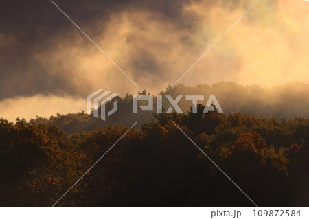 岩手県奥州市　夜明けの風景 109872584