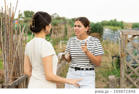 Farm owner scolding female worker during harvest. 109872848