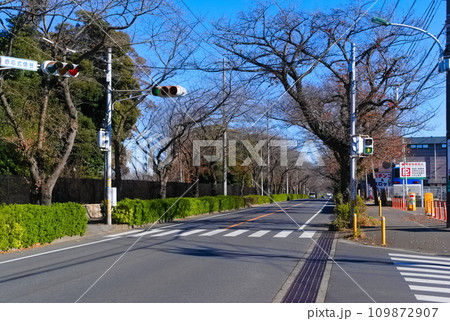 千葉県松戸市八柱霊園周辺2023年12月 千葉県松戸市八柱霊園周辺2023年12月 109872907