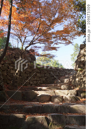 紅葉と安土城跡の天主閣跡石段 109873309