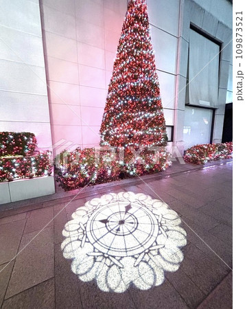 クリスマスツリーのある風景 109873521