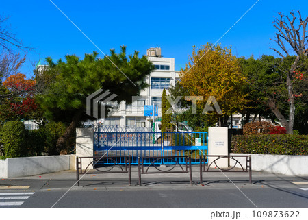 東京都葛飾区立半田小学校周辺2023年12月 東京都葛飾区立半田小学校周辺2023年12月 109873622