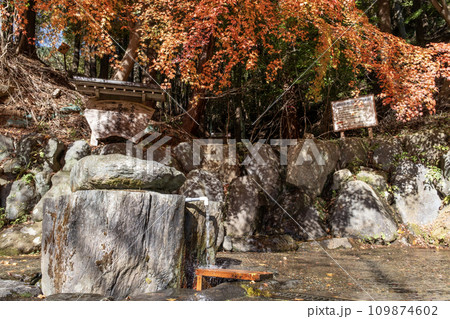 秦野名水　葛葉の泉　秋景 109874602